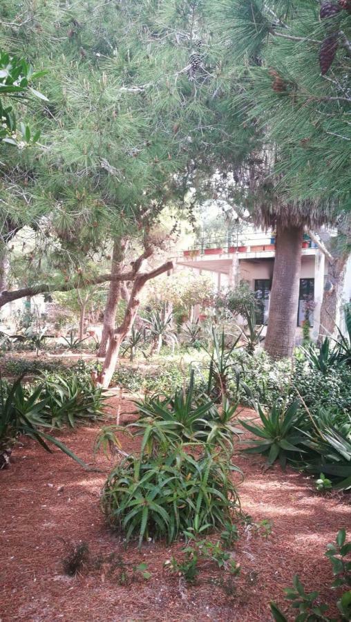 Ferienwohnung Il Giardino Su Lido Burrone Favignana Exterior foto