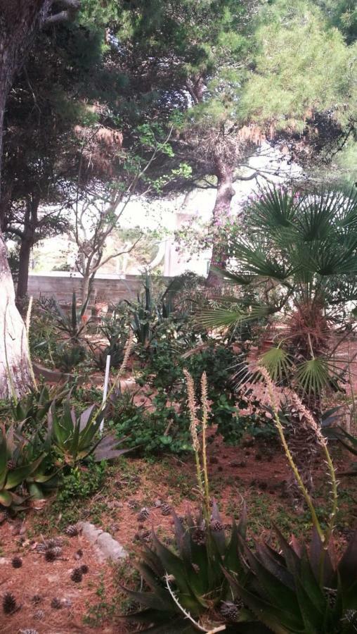 Ferienwohnung Il Giardino Su Lido Burrone Favignana Exterior foto